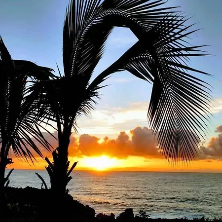 Pahoa Tropical Garden Getaway Apartment